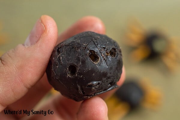 hand holding chocolate donut hole with holes poked into it for the pretzels sticks as a step for making donut spider snacks