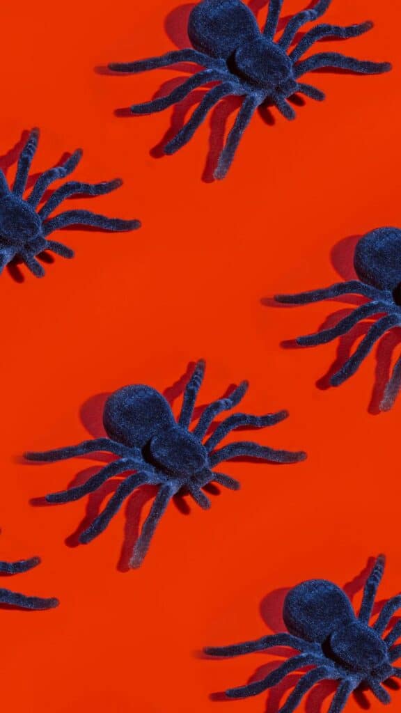 halloween wallpaper background image consisting of fuzzy black spiders on a red background